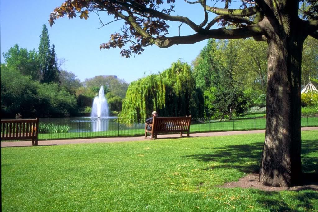 31_06_6---St-James-s-Park--London_w.jpg