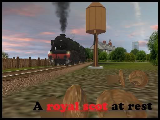 royalscot.jpg