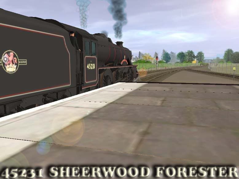 sheerwoodforester.jpg