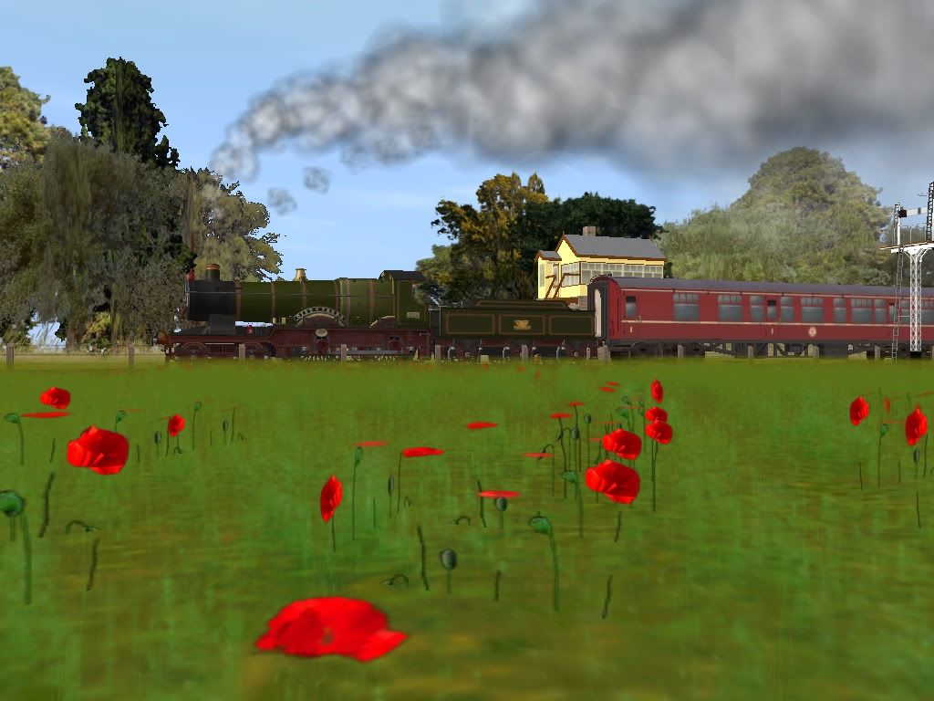 trainz2011-05-1716-29-10-26.jpg