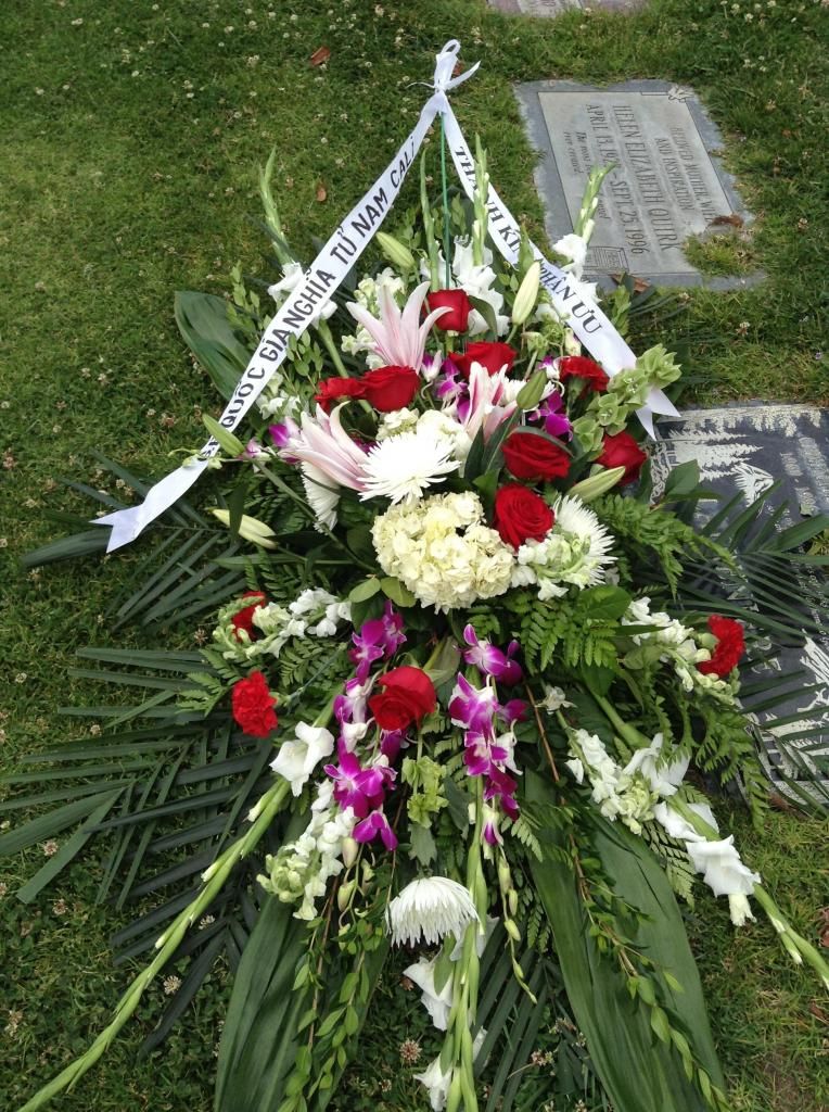 photo imagejpg3_zps9b69a55e.jpg