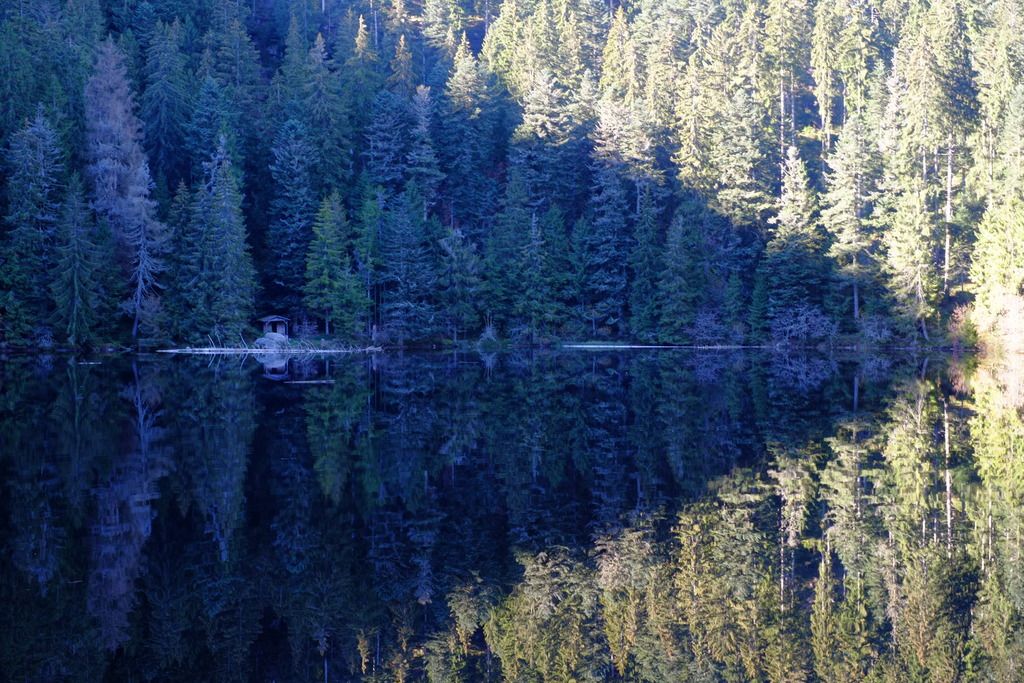 Bergsee%20im%20Schwarzwald_zpscqmc5fji.j