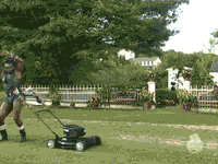 222.gif