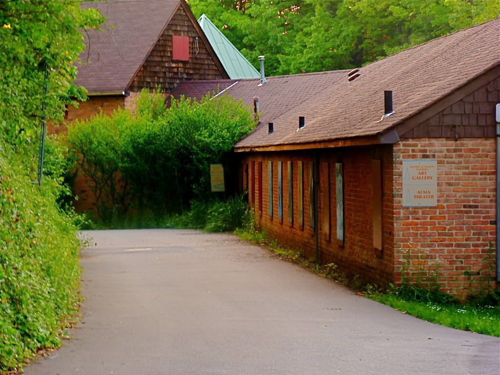 P1010567.jpg