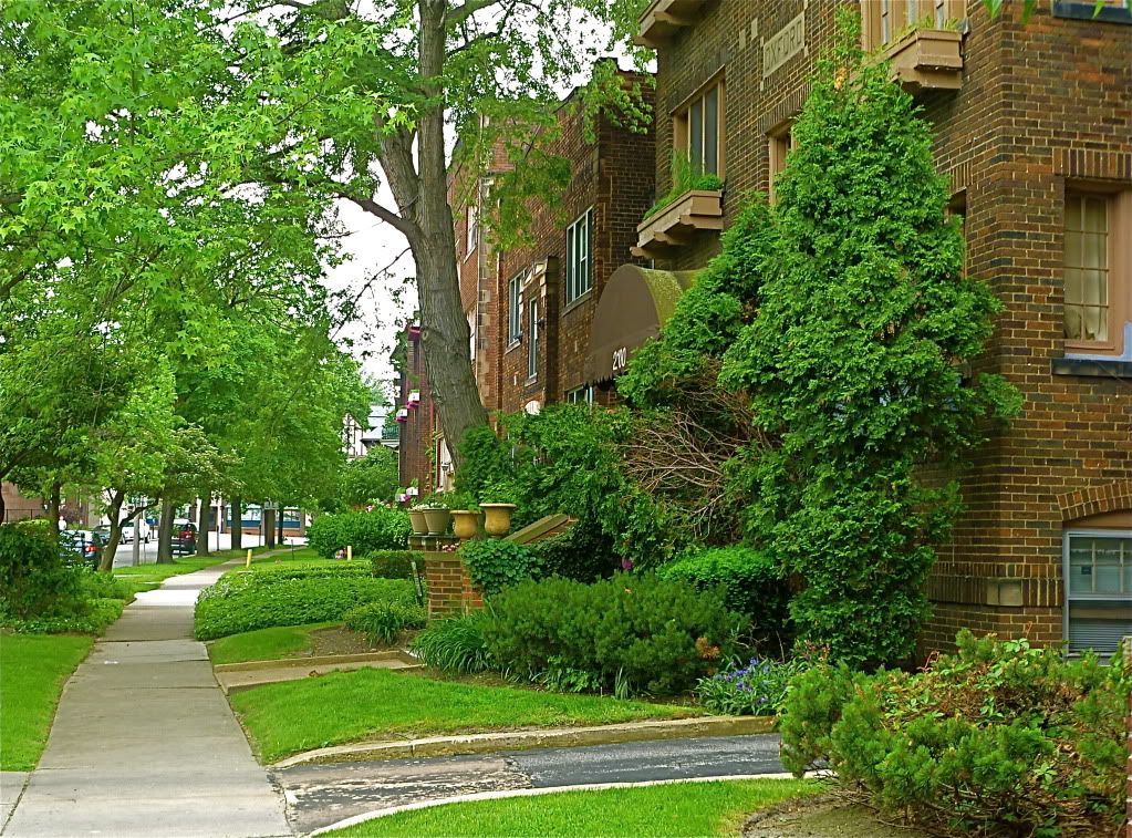 P1020117.jpg
