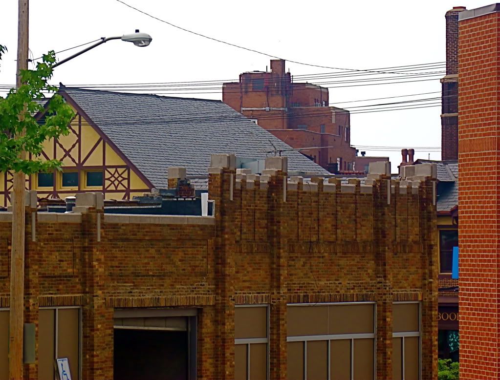 P1020187.jpg