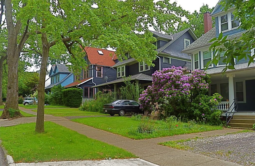 P1020191.jpg
