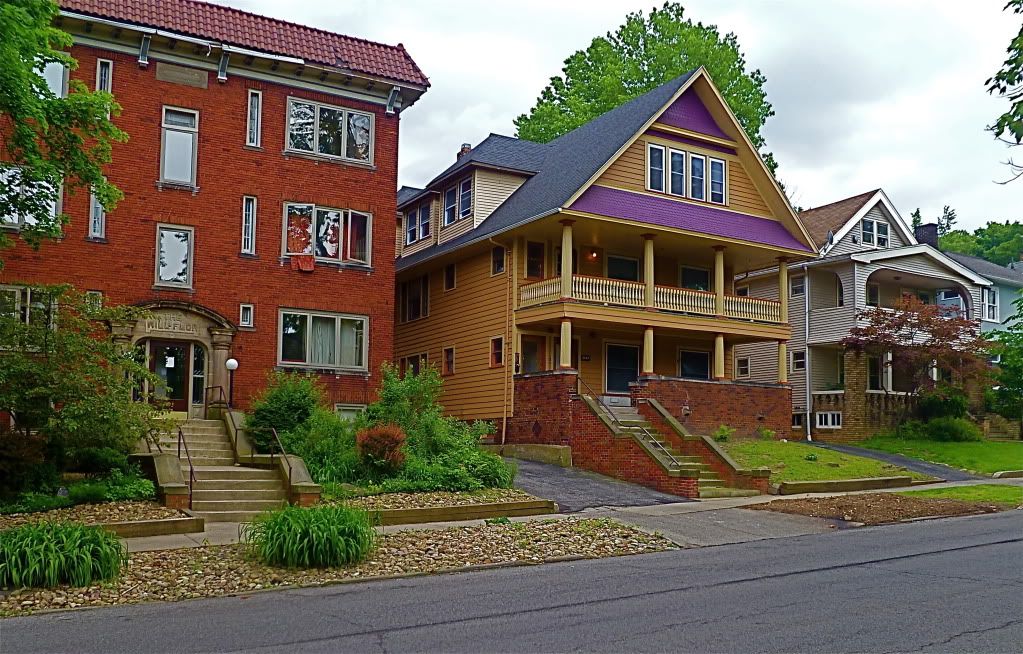 P1020193.jpg