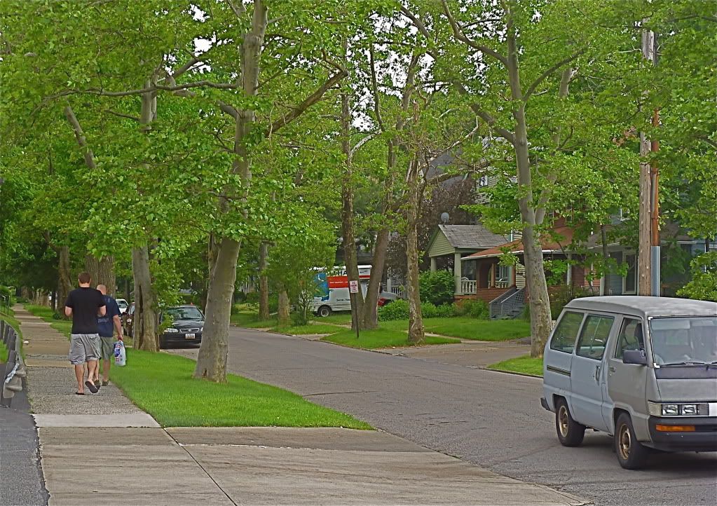 P1020219.jpg