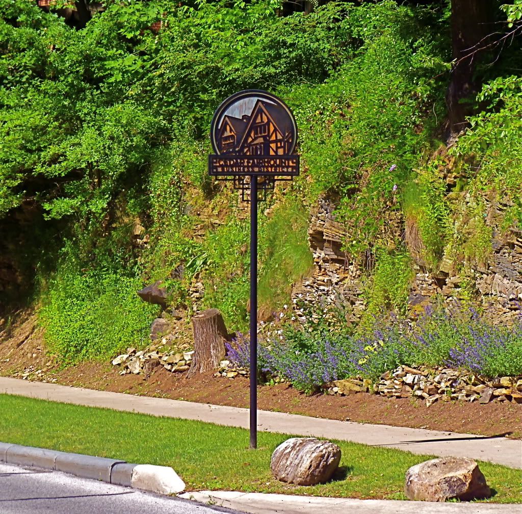 P1020626.jpg