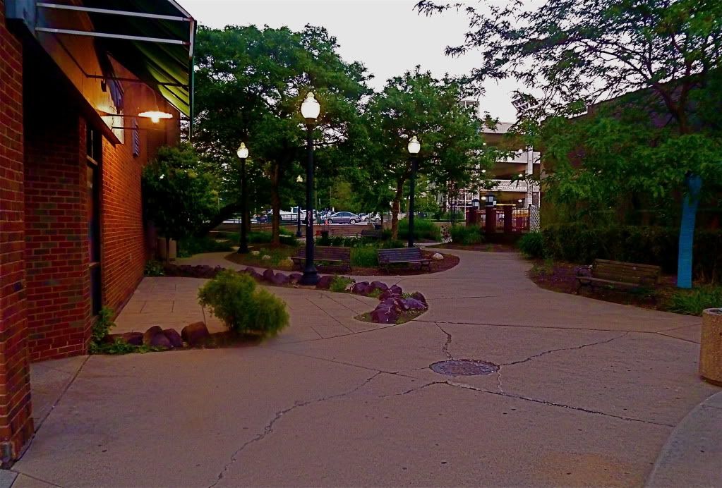 P1010622.jpg
