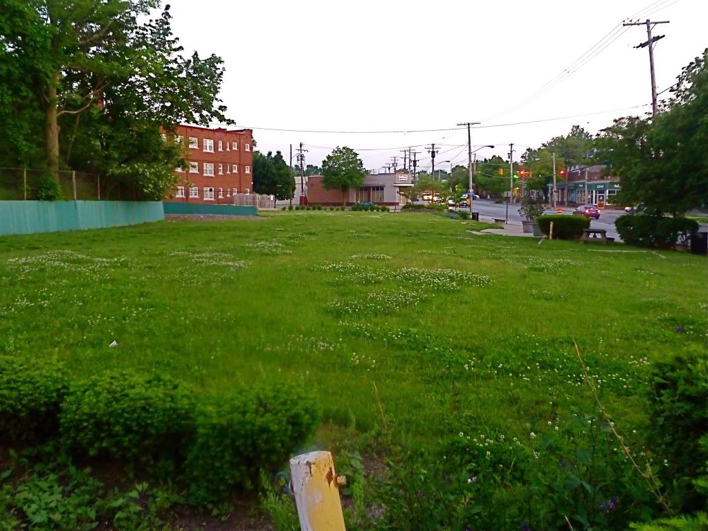P1010639.jpg