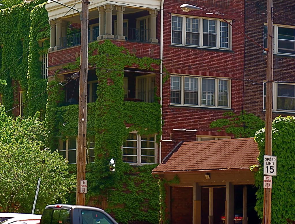 P1010348.jpg