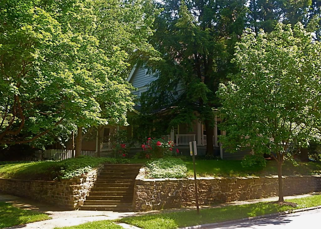 P1020714.jpg