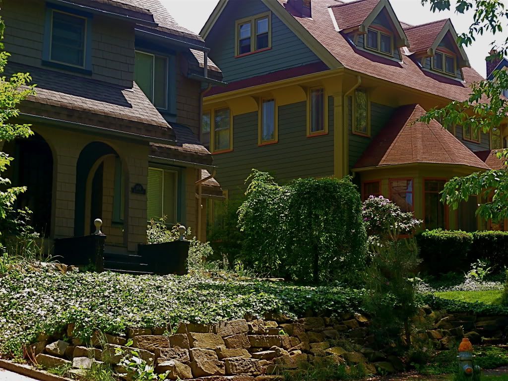 P1010253.jpg