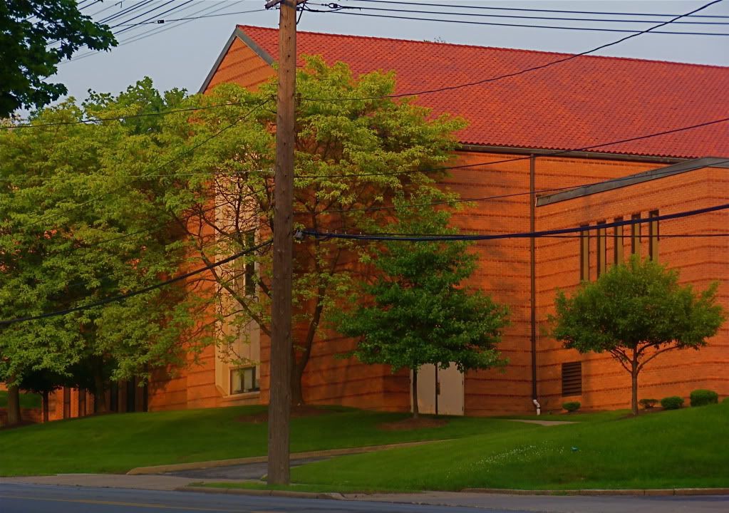 P1010733.jpg