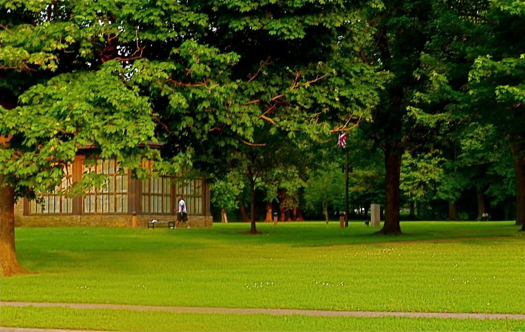 P1010737.jpg