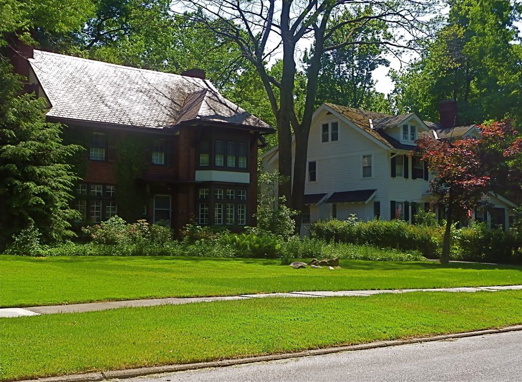 P1020498.jpg