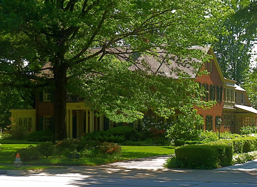 P1020569.jpg