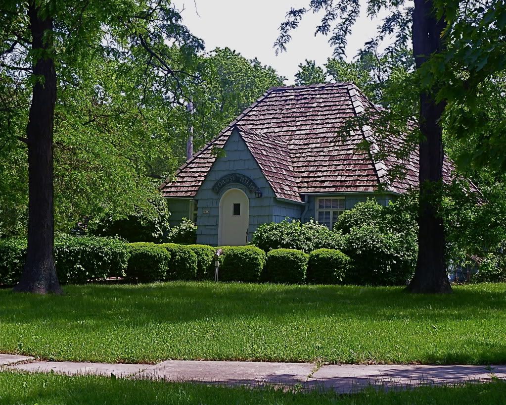 P1010247.jpg