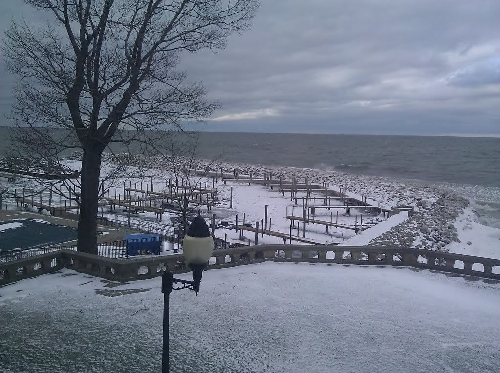 IMG_20101223_130411.jpg