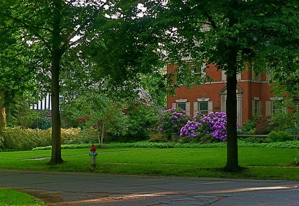 P1010417.jpg