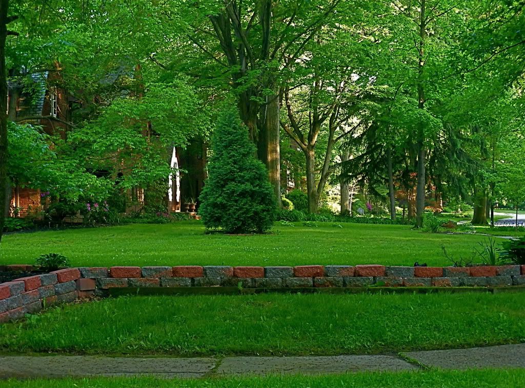 P1010418.jpg