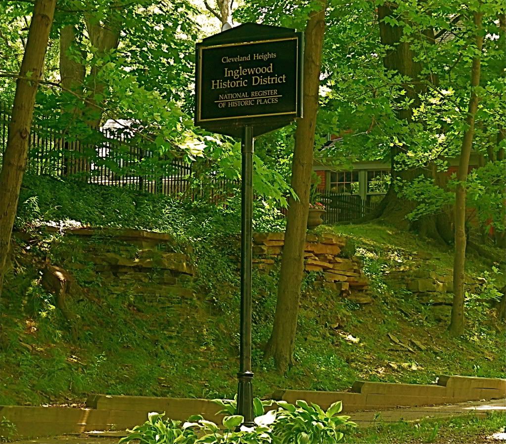 P1020278.jpg