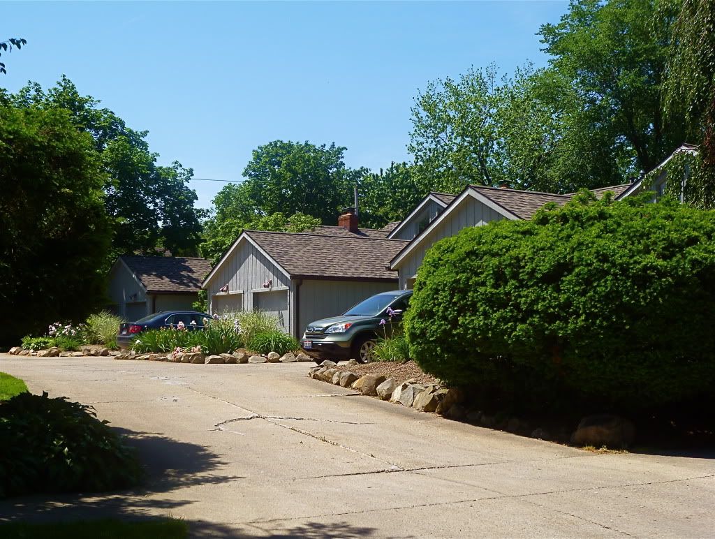 P1020445.jpg