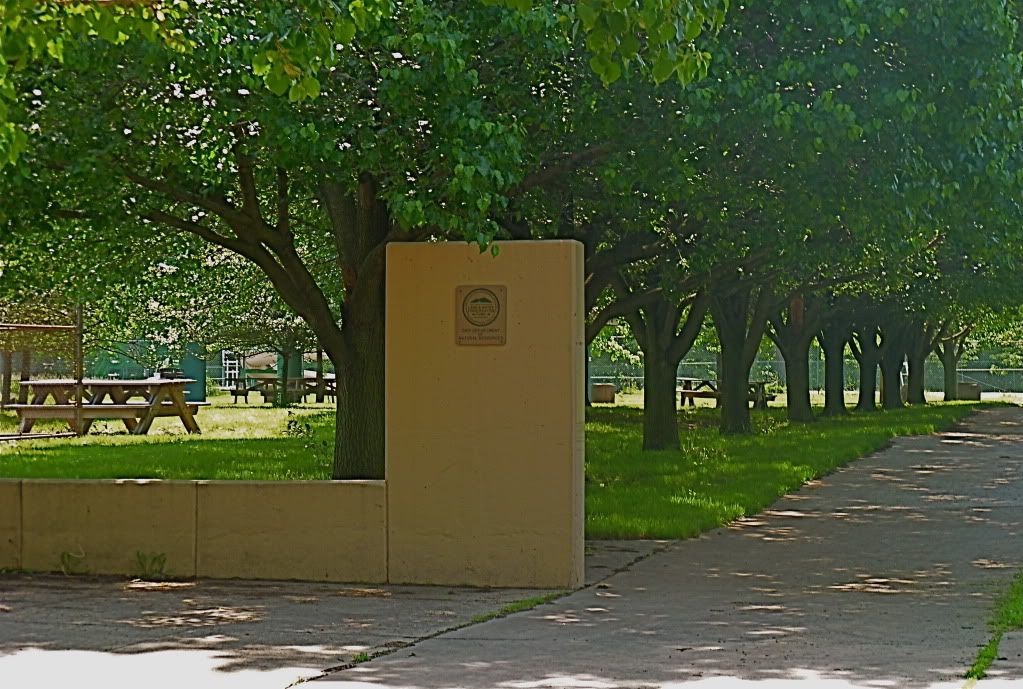 P1010127.jpg