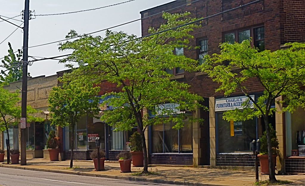 P1010137.jpg