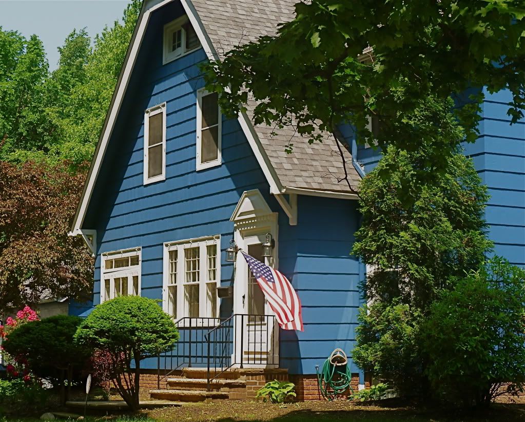 P1010176.jpg