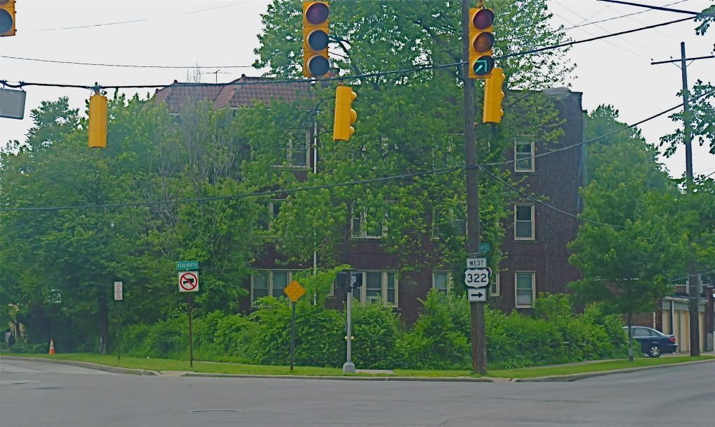 P1010996.jpg