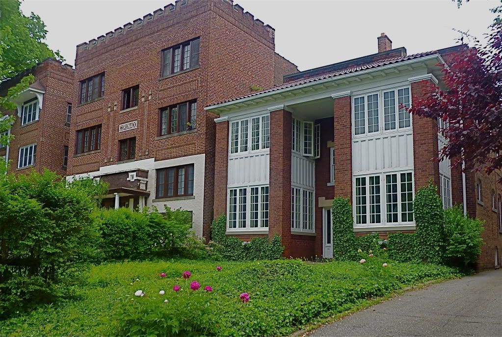 P1020018.jpg