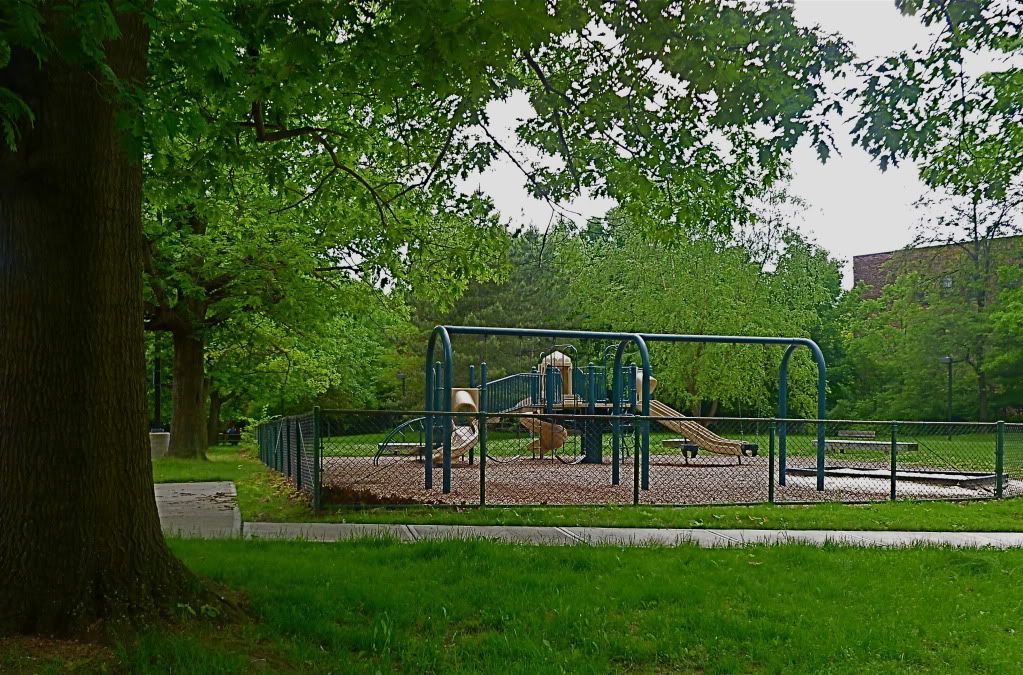 P1020024.jpg