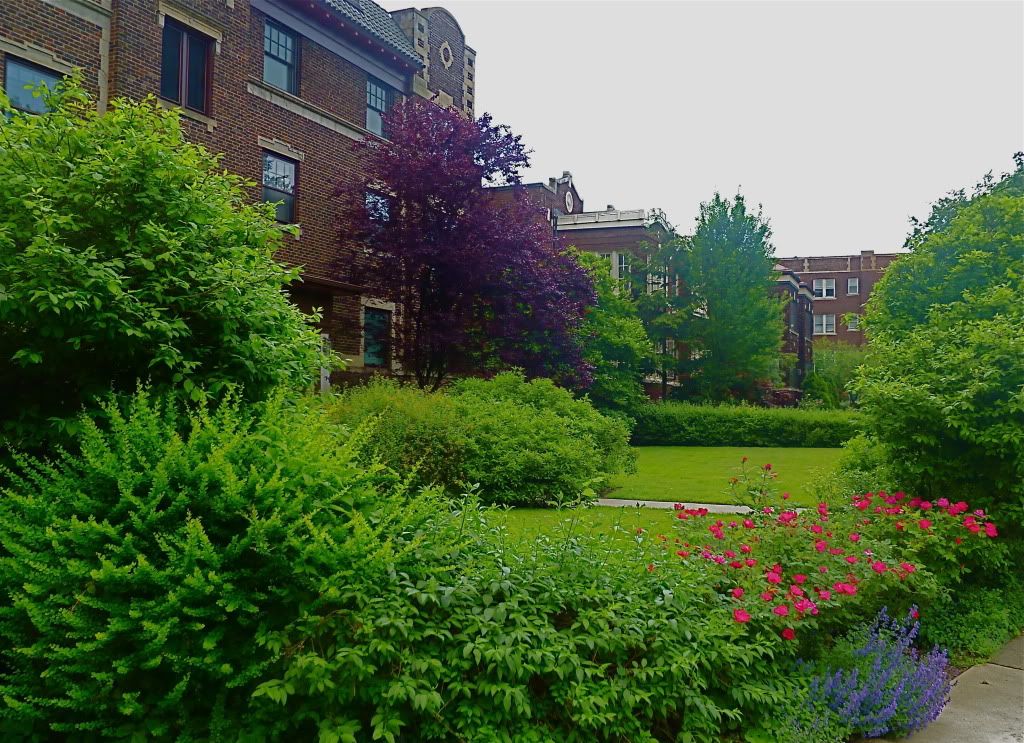 P1020033.jpg