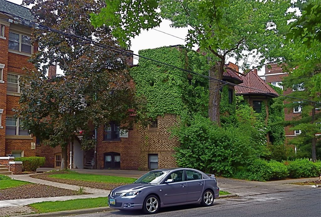 P1020034.jpg