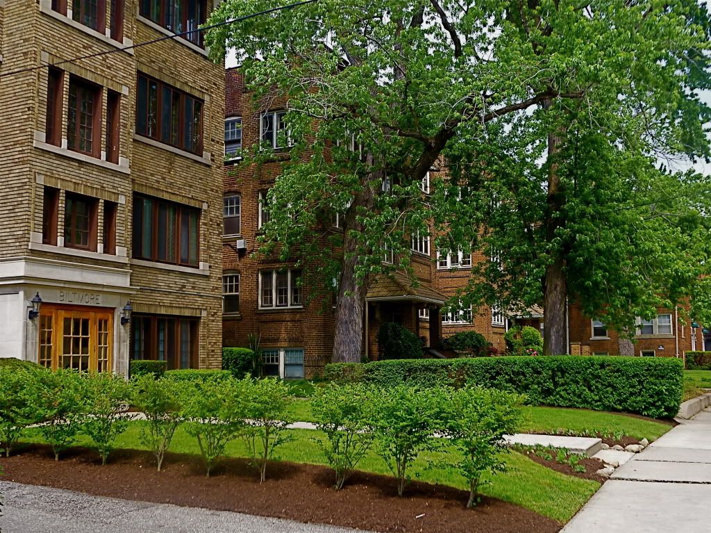 P1020056.jpg