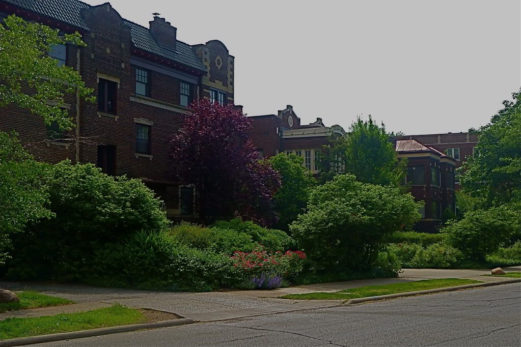 P1020062.jpg