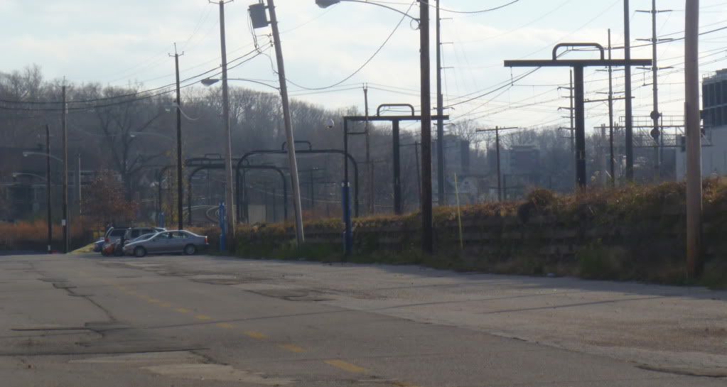 P1000432.jpg
