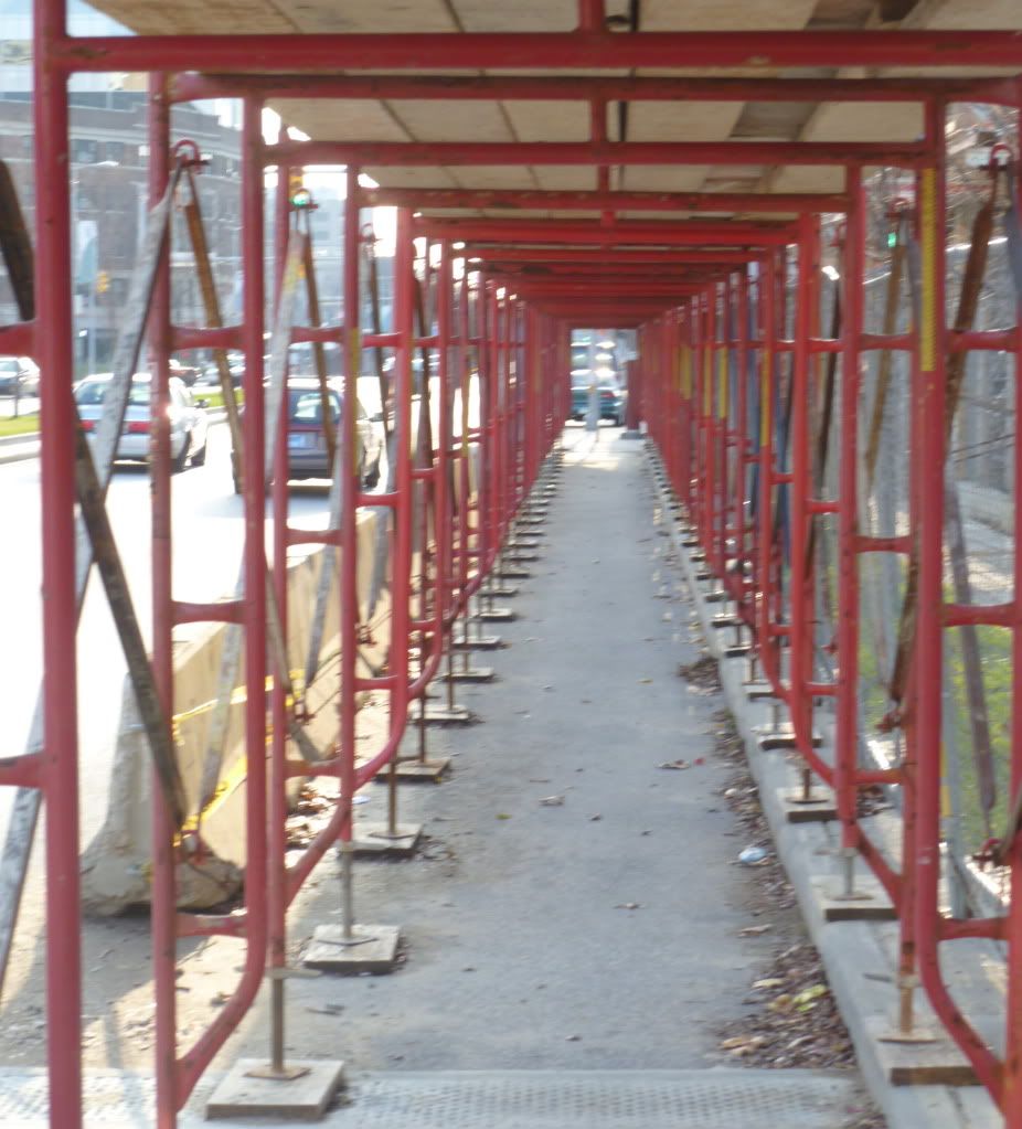 P1000490.jpg