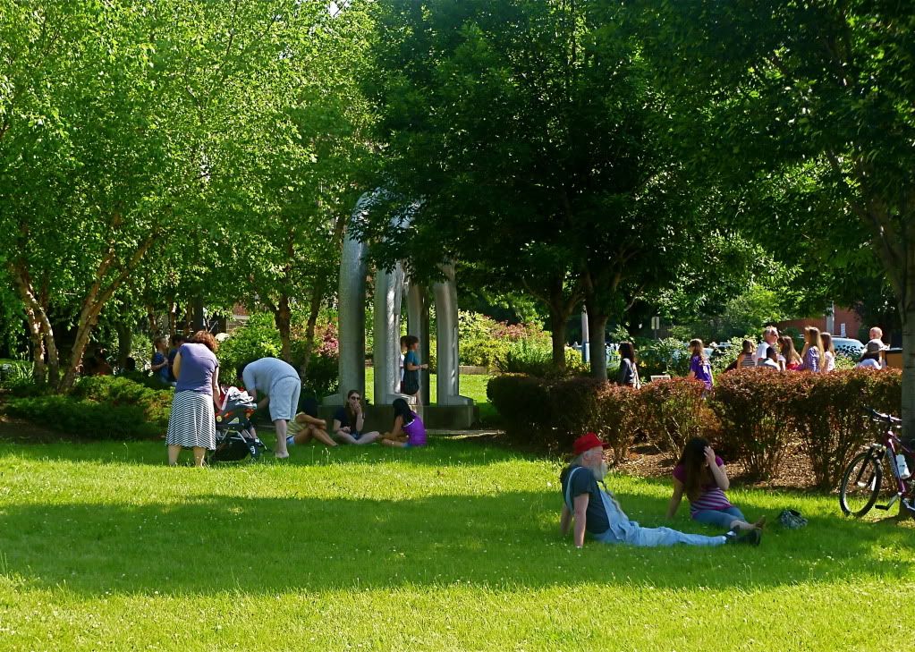 P1020799.jpg