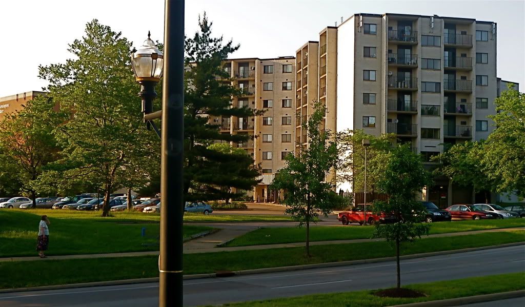 P1010443.jpg