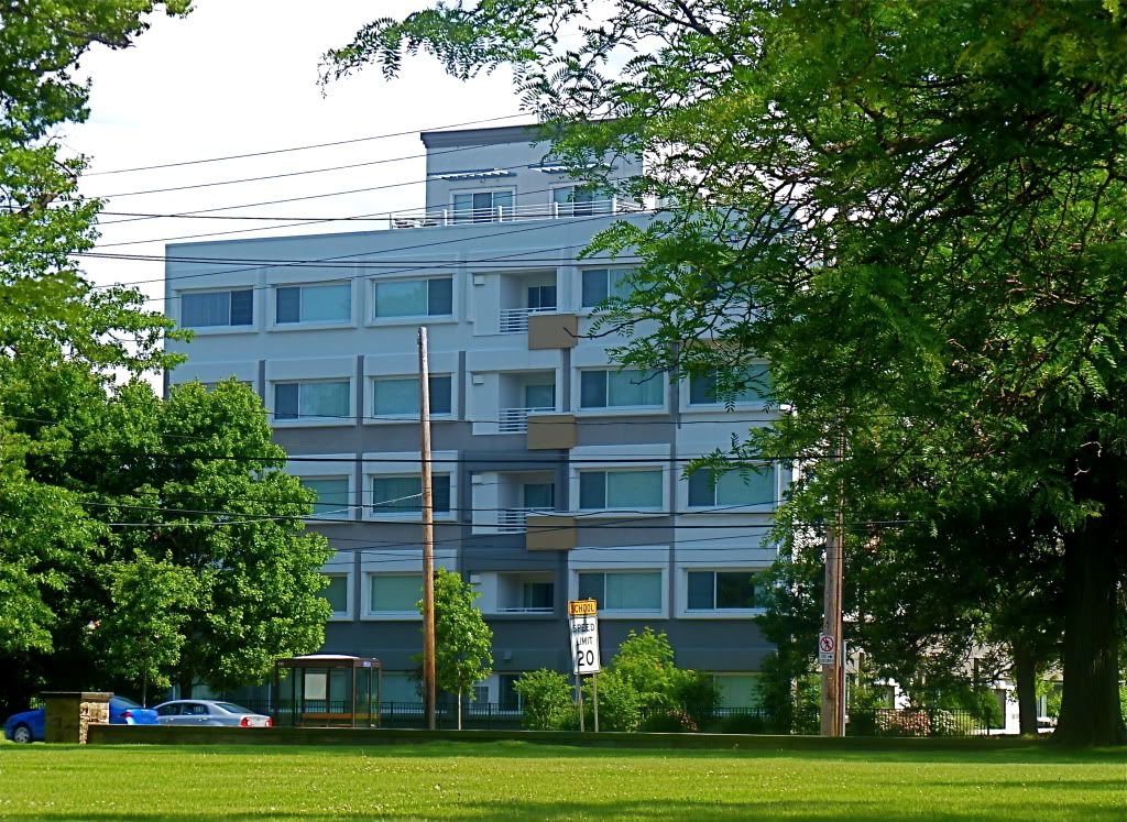 P1020697.jpg