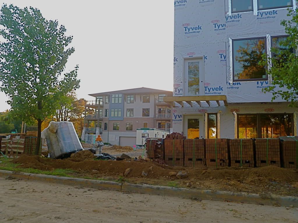 P1020929.jpg
