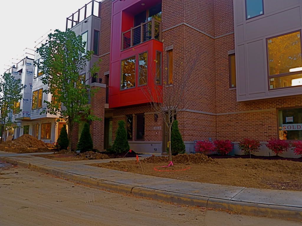 P1020932.jpg