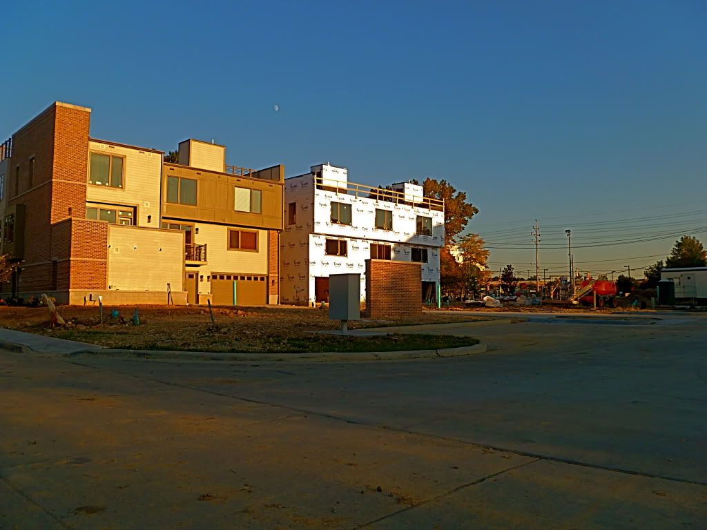P1020933.jpg