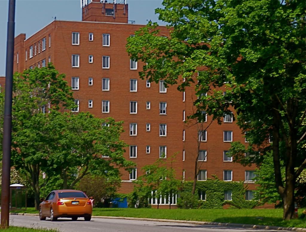 P1010272.jpg