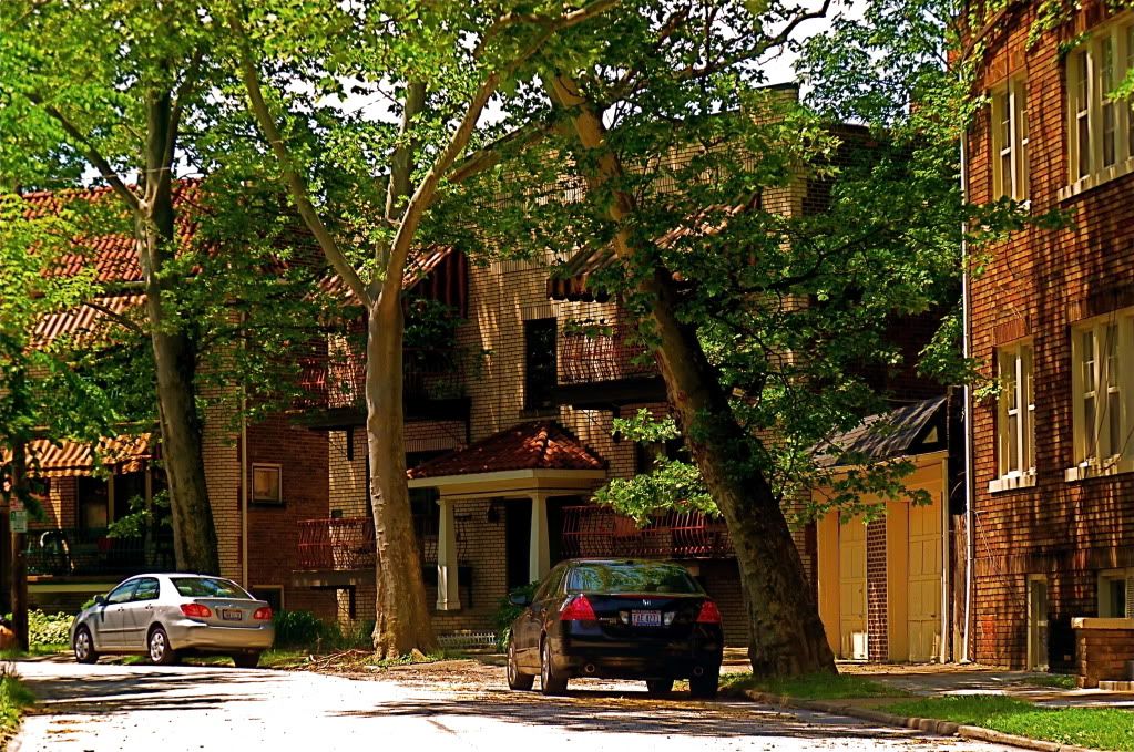 P1010275.jpg