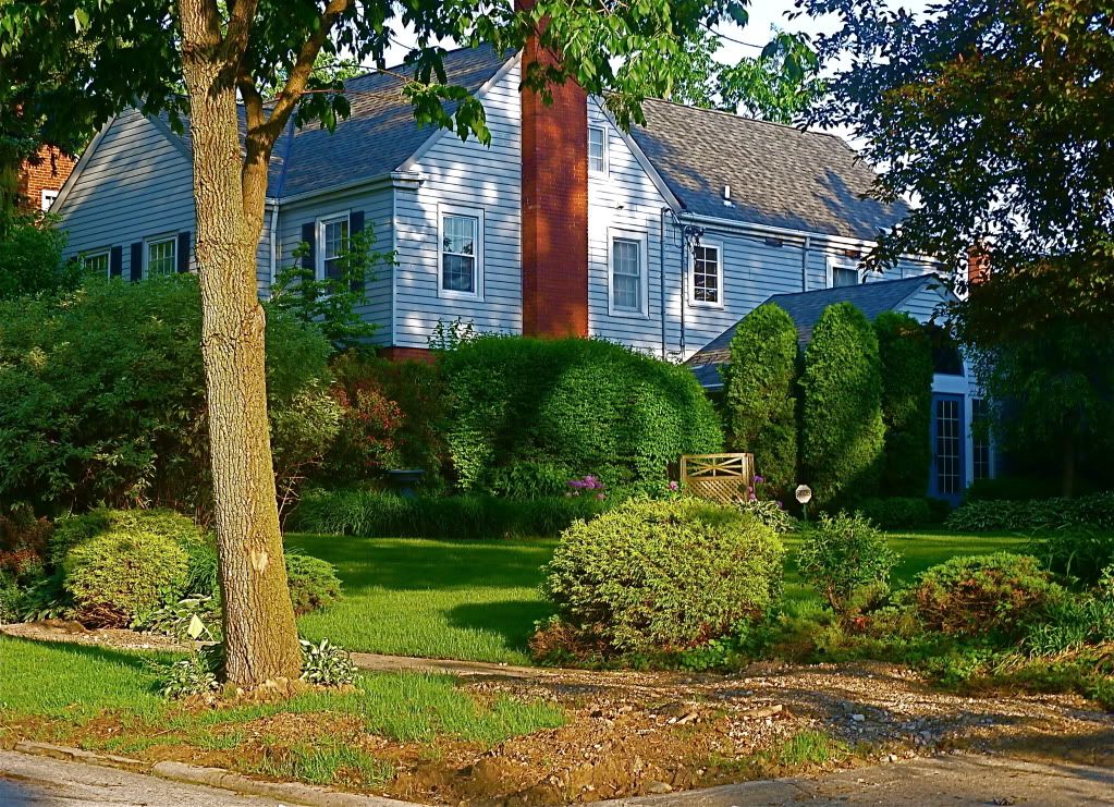 P1010432.jpg